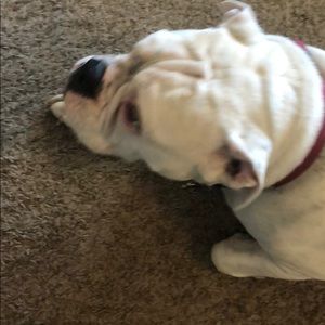 Meet your Posher, Carolyn